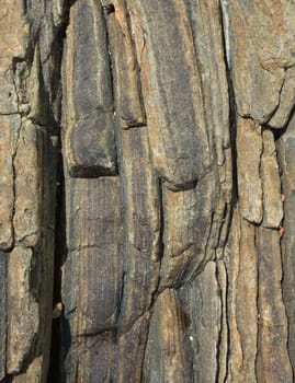 Vertical rock background, Southern Province, Sri Lanka, Asia.