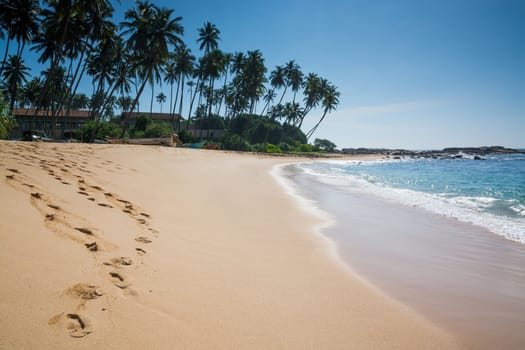 Paradise beach with coconut trees and footprints in golden sand, Tangalle, Southern Province, Sri Lanka, Asia.