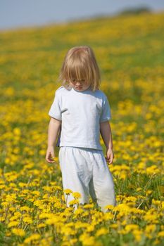 boy with long blond hair standing in a dandelion field
