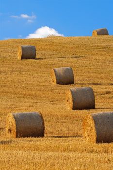 field with bales of hay, blue sky, bohemia, czech republic