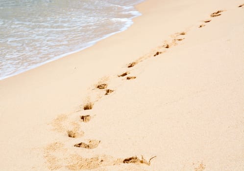 Tropical beach with footprints in soft sand, Southern Province, Sri Lanka, Asia.