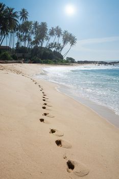 Footprints on paradise beach with coconut trees and white sand, Tangalle, Southern Province, Sri Lanka, Asia.