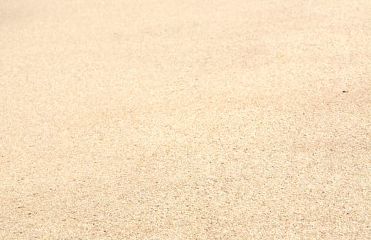 Sand background selective focus. Sand on a tropical beach, Southern province, Sri Lanka, Asia.