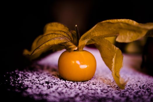 Small yellow orange tomato with branch on snow.