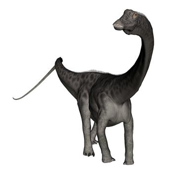 Diplodocus dinosaur standing in white background- 3D render