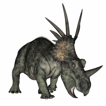 Styracosaurus dinosaur standing in white background- 3D render