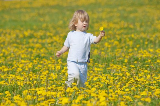 boy with long blond hair holding dandelion standing in a field