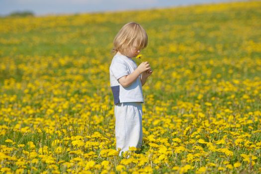 boy with long blond hair holding dandelion standing in a field