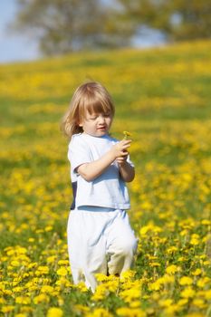 boy with long blond hair holding dandelion standing in a field