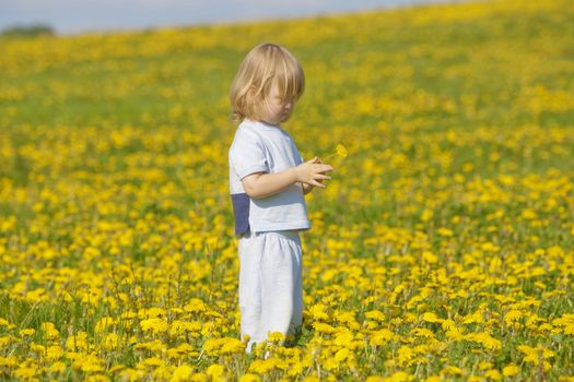 boy with long blond hair holding dandelion standing in a field