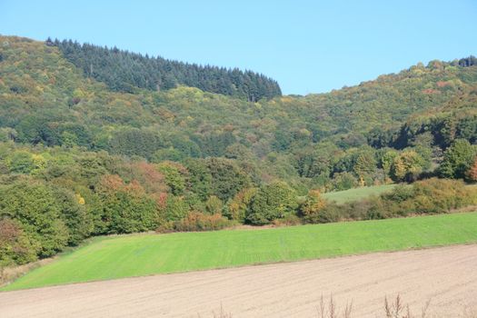 Mountains with forested mountain 