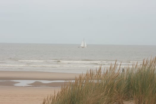 An dune,overgrown with beach grass, the ocean in the background 