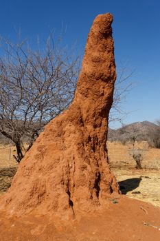 Huge red, orange termite mound in Africa, Namibia
