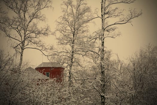 winter landscape with red house, instagram image style