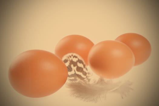 eggs with a feather, easter still life, instagram image style