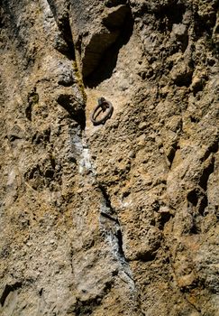 background or texture iron ring on a rock wall