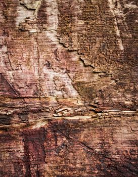 background or texture detail of old brown wooden boards