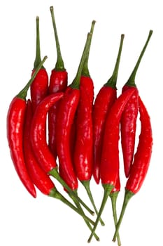 chili pepper isolated on a white background