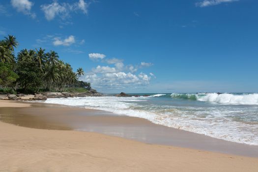 Tropical beach. Sandy beach, coconut palms and green waves with seafoam. Southern Province, Sri Lanka, Asia.