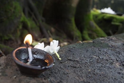 Flowers and oil burning. Ceremonial flowers and oil burning arrangement, Sri Lanka, Asia.