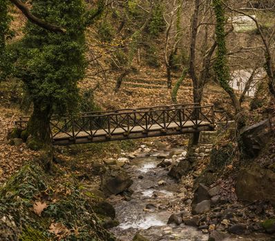 Small wooden bridge over a stream in a forest at winter season