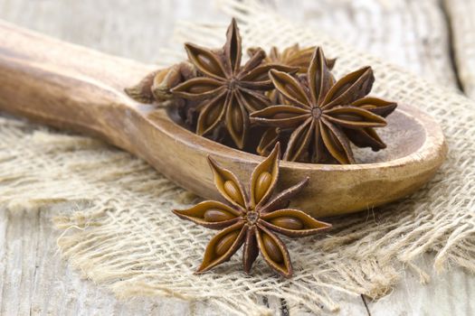 star anise on wooden spoon