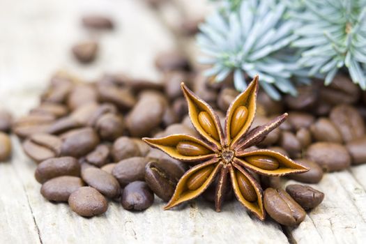 anise, coffee beans and blue pine