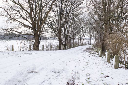 Snowy road in the winter