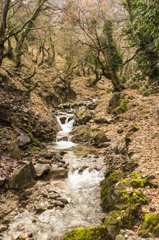 A small stream in a forest at winter season