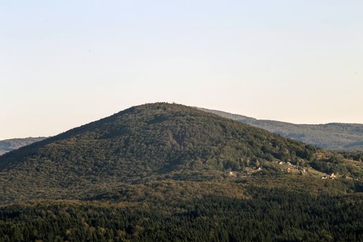 Civilization of small houses, built in a forest.