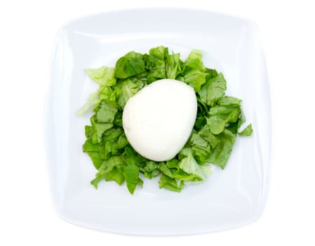Mozzarella with salad on white background top view