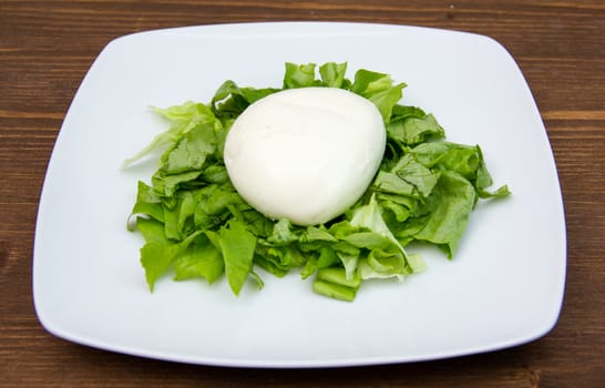 Mozzarella with salad on the plate on wooden table