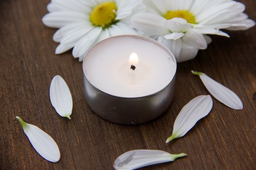 Candle and daisies on wooden table seen up close