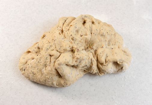 Kneaded multi seed malted bread dough after a proving period