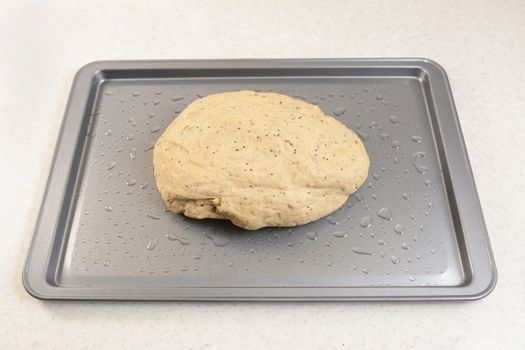 Smooth, kneaded bread dough on an oiled baking sheet