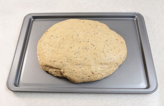 Risen bread dough on a baking sheet, after a second proving
