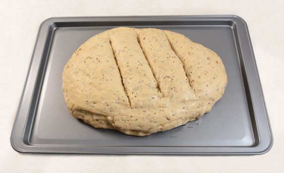 Raw bread dough with three slashes, ready for the oven