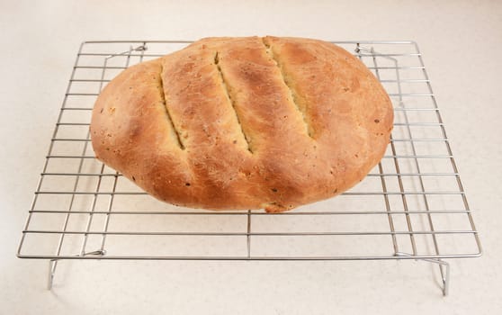 Freshly baked loaf of multi seed bread cooling on a wire rack