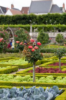 Gardens and Chateau de Villandry  in  Loire Valley in France 