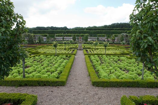 Gardens and Chateau de Villandry  in  Loire Valley in France 