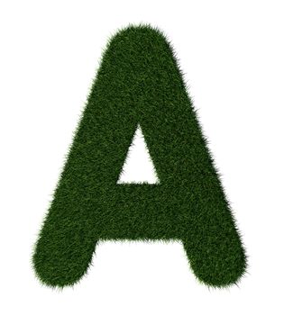 LetterA  made with blades of grass