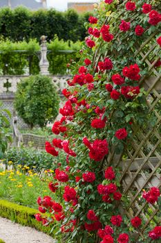 Gardens and Chateau de Villandry  in  Loire Valley in France 