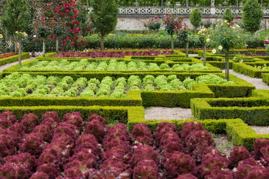 Kitchen garden in  Chateau de Villandry. Loire Valley, France 