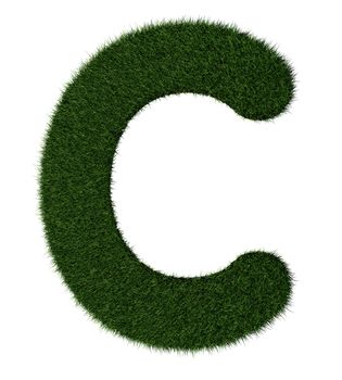 Letter C made with blades of grass