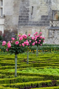 Gardens and Chateau de Villandry  in  Loire Valley in France 