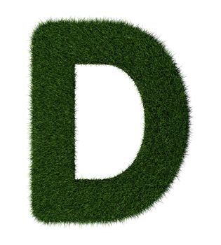 Letter D made with blades of grass