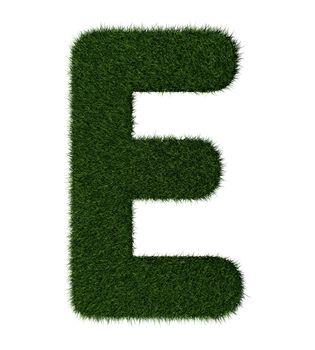 Letter E made with blades of grass
