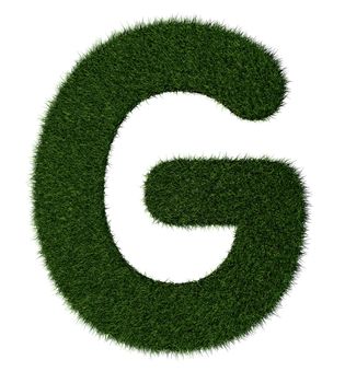 Letter G made with blades of grass