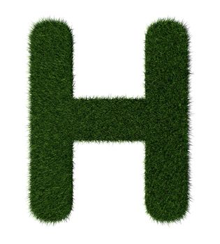 Letter H made with blades of grass