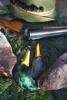 hunting still life with rifle, hat and wild ducks